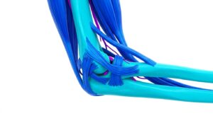 팔꿈치 관절의 해부학적 구조 3D 일러스트